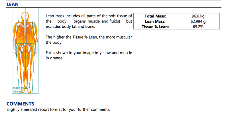 lean body composition