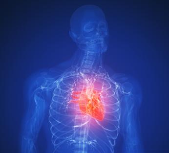 New guidelines recommend heart attack patients take anti-clotting drug ...