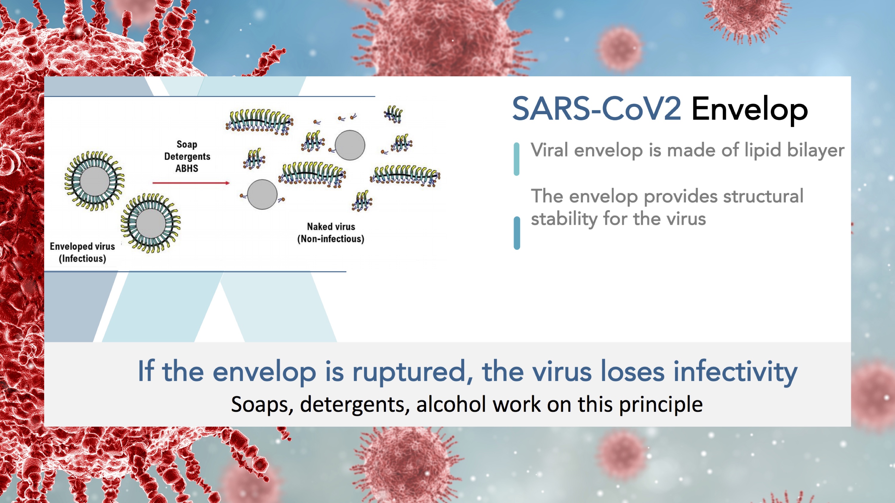 ISHIELD mask antiviral technology