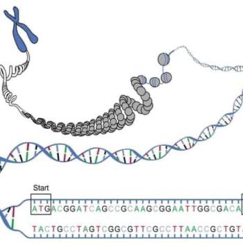 DNA - ultimate storage