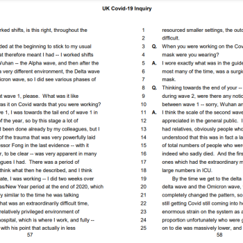 A screenshot of the transcript of Prof Whitty's deposition to the Hallett Inquiry